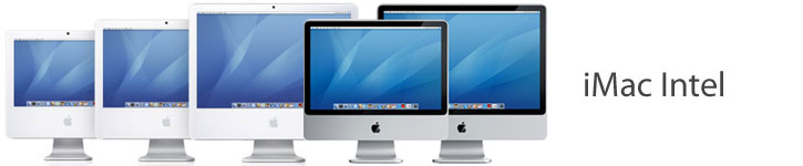 Memory from iMac Intel: