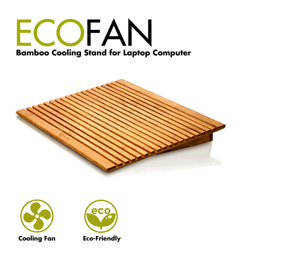 ecoFan