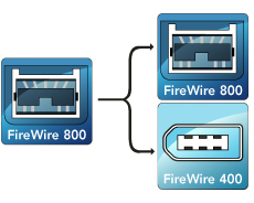 Firewire     Mini on 800 To Firewire 400 800 Mini Hub Solves Both Problems