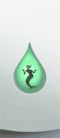 mermaid image