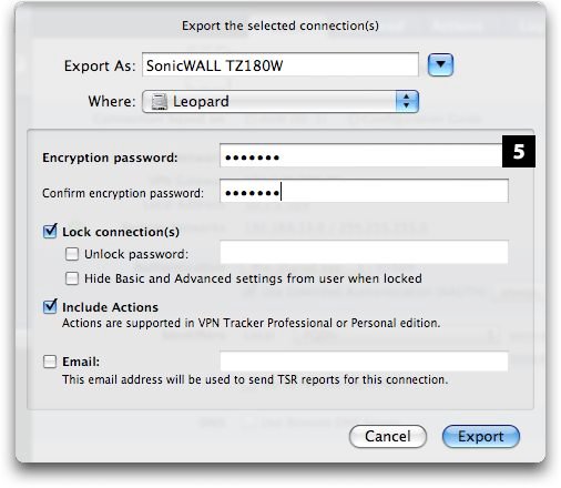 set a password before you export a connection