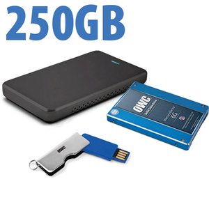 250GB OWC DIY Internal HDD to SSD Upgrade Bundle for Sony PlayStation 4 with USB Flash Drive, Tool & More