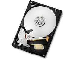 Hitachi 2.5&Prime; Hard Disk Drive