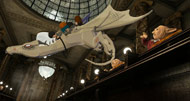 Gallery Pic 2