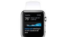 You may decide to never wear your Apple Watch again once CARROT Weather is done with you...