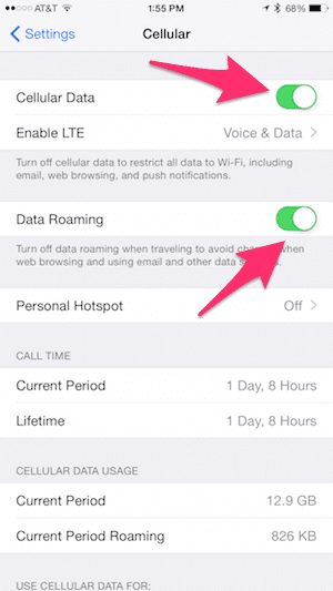 Cellular Data and Data Roaming Buttons