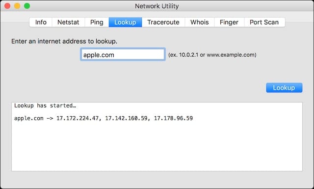 Network Utility - Lookup