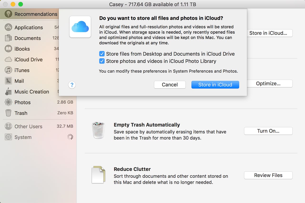 (Store in iCloud gives you the option of moving Desktop files, items from your Documents folder, and photos to iCloud. Once copied to iCloud, they're marked as purgeable.)