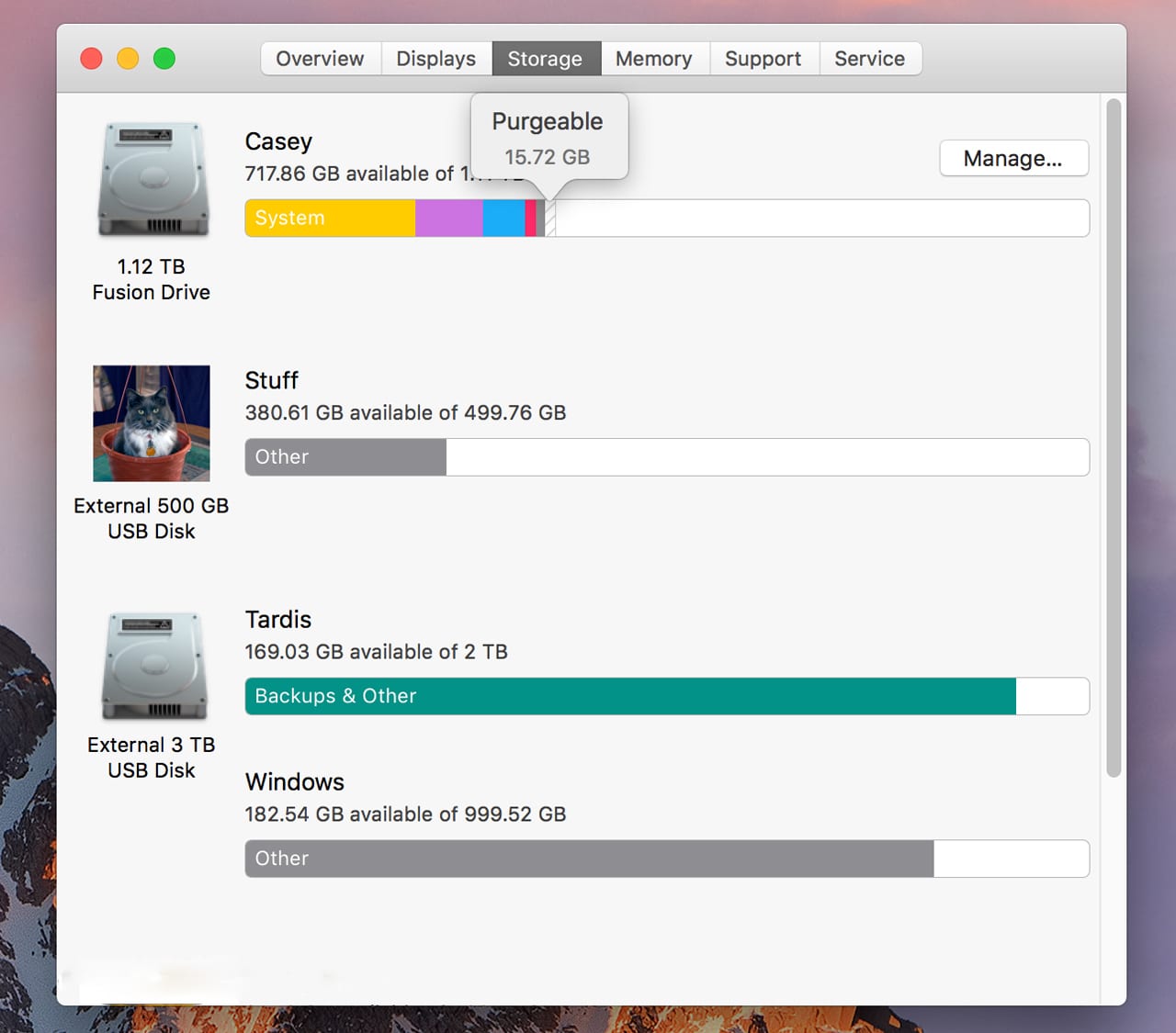 (About this Mac's Storage tab displays a bar graph for each drive currently mounted by your Mac. Included in the graph is data marked as purgeable, ready to be deleted, if needed, for additional room.)