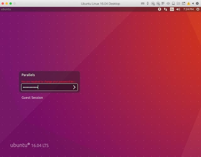 Ubuntu Linux running in a Parallels Desktop virtual machine on macOS Sierra