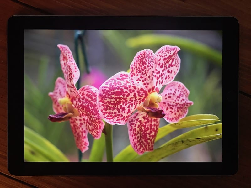iPad Pro (10.5-inch, 2017) display showing detail and accurate color reproduction