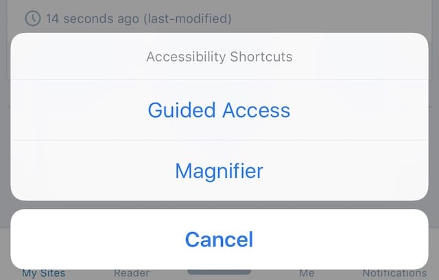 After triple-clicking, Guided Access and Magnifier are your choices... as is canceling. 