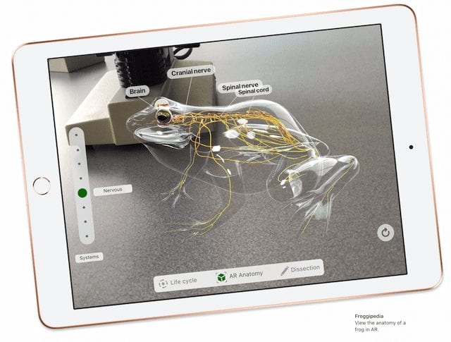 The new iPad with an ARKit app (Froggipedia) used for virtual dissections