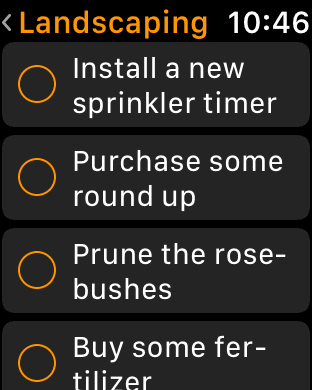 The list on an Apple Watch screen