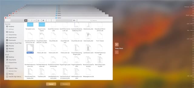 Time Machine displays a history of the files in the Safari folder. 