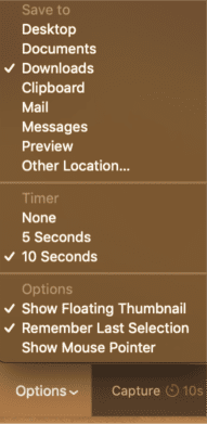 Screenshot app options