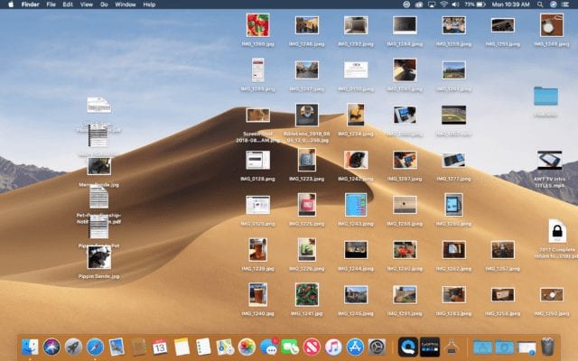 A deliberately messy Mojave desktop