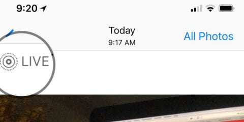 A "LIVE" icon appears in the Photos app above each Live Photo
