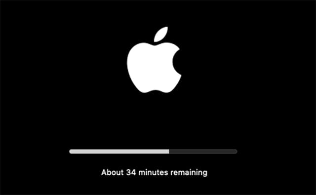 Mac Mojave installation progress bar.