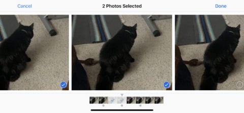 (Selecting favorites from a Burst Mode series of photos)