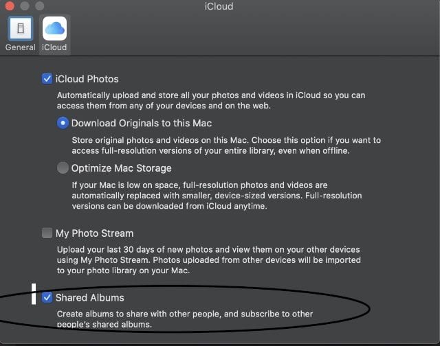 How to set up, manage Shared Albums