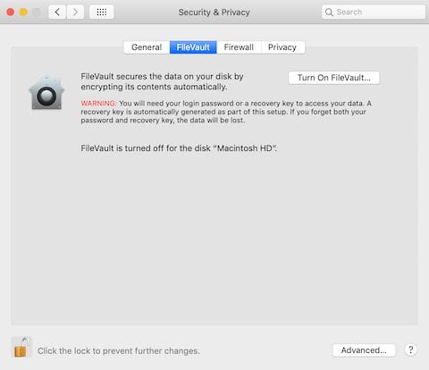 (The FileVault tab of the Security & Privacy pane in System Preferences)