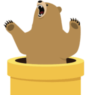 Tunnel Bear's namesake mascot