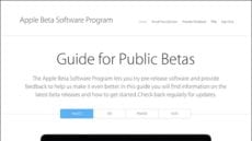Guide for Public Betas