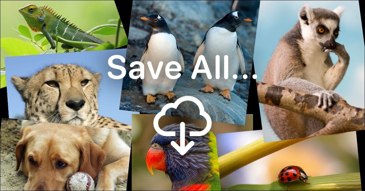 animal mosaic with words "save all" and a download arrow