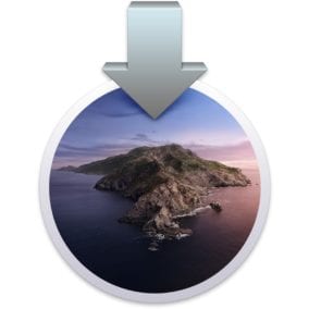 macOS Catalina install icon.