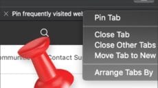 Screengot of pin tab menu with safari logo and pin icon