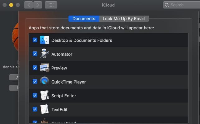 Screenshot of iCloud Documents preferences