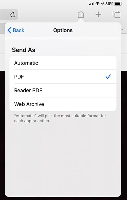 Select PDF if you wish to save the file as a PDF.