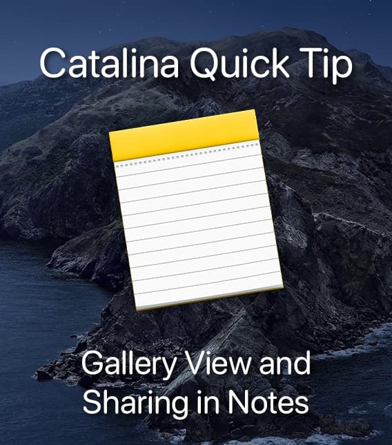 Mac Notes icon on catalina island
