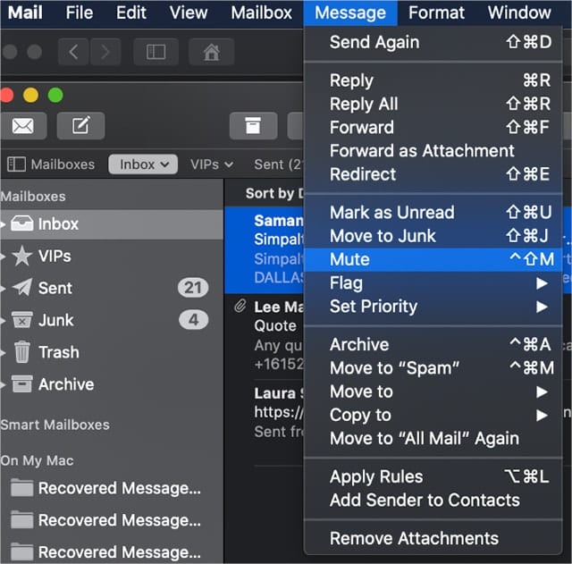 Screenshot of "Mute" menu item in macOS Catalina