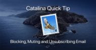 Apple mail icon overlaying catalina image