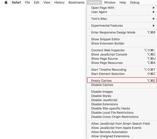 Safari Develop Menu