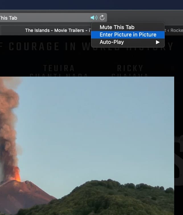 Screenshot of Picture in Picture menu in Safari 13
