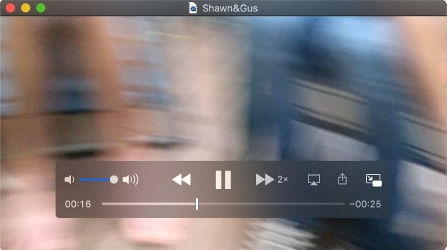 Screenshot of PIP example from safari showing Shawn & Gus