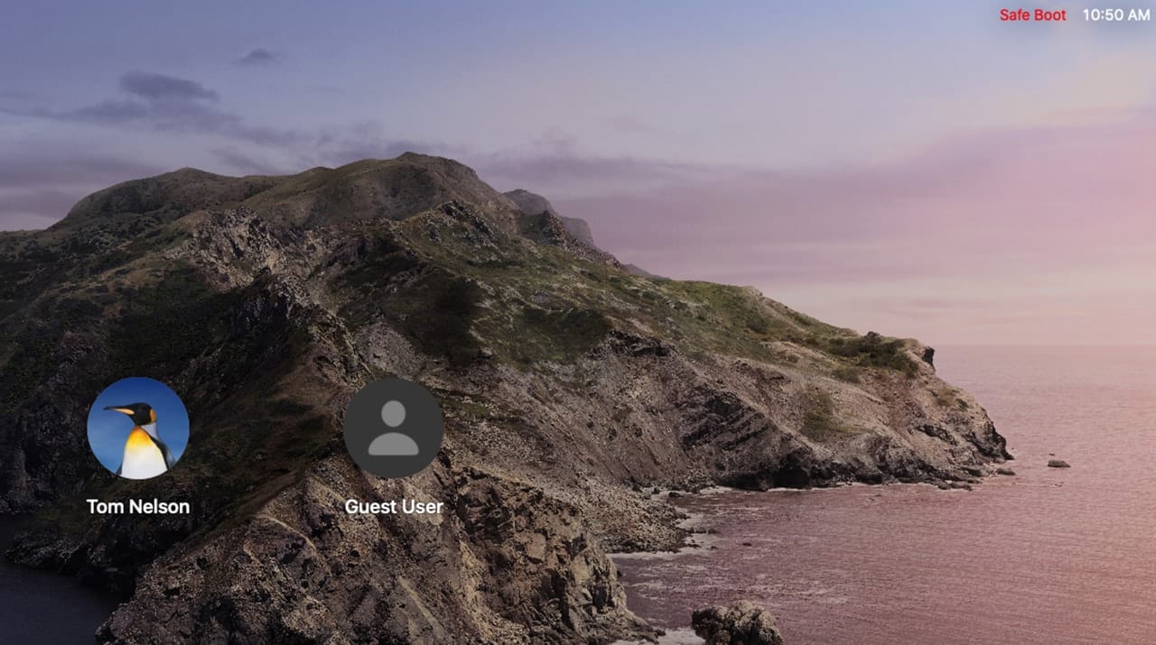 macOS Catalina login window with Safe Boot text in top right corner.