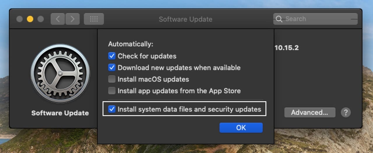 Option for installing system data files and security updates in macOS Catalina.