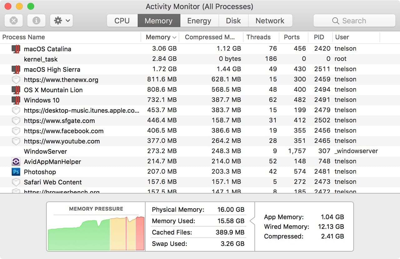 Activity Monitor's Memory tab showing memory pressure and how processes are using RAM.