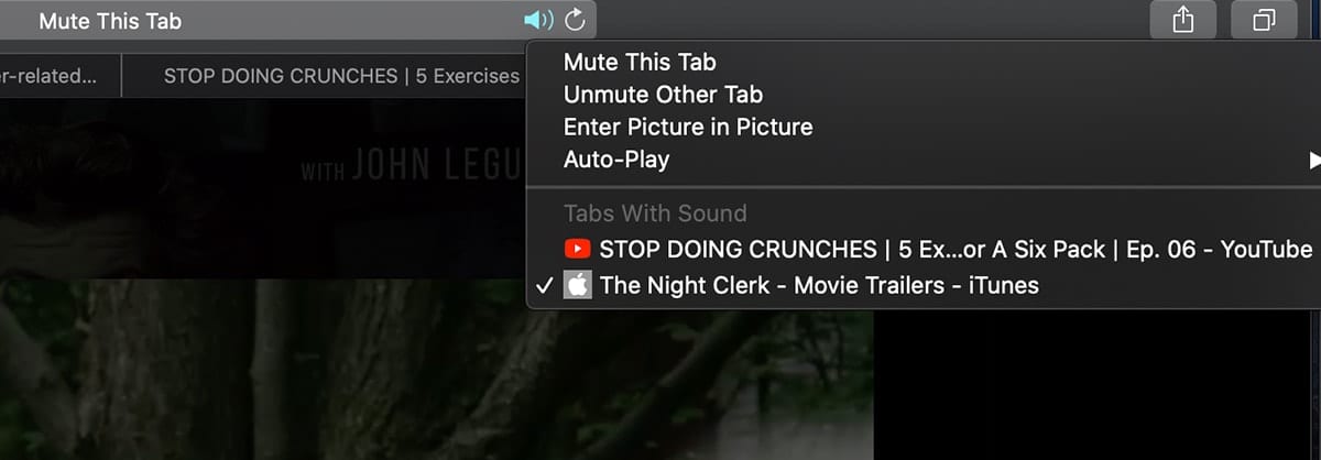 Screenshot of youtube showing safari tabs for muting