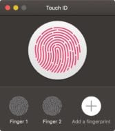 Touch ID with Fingerprint