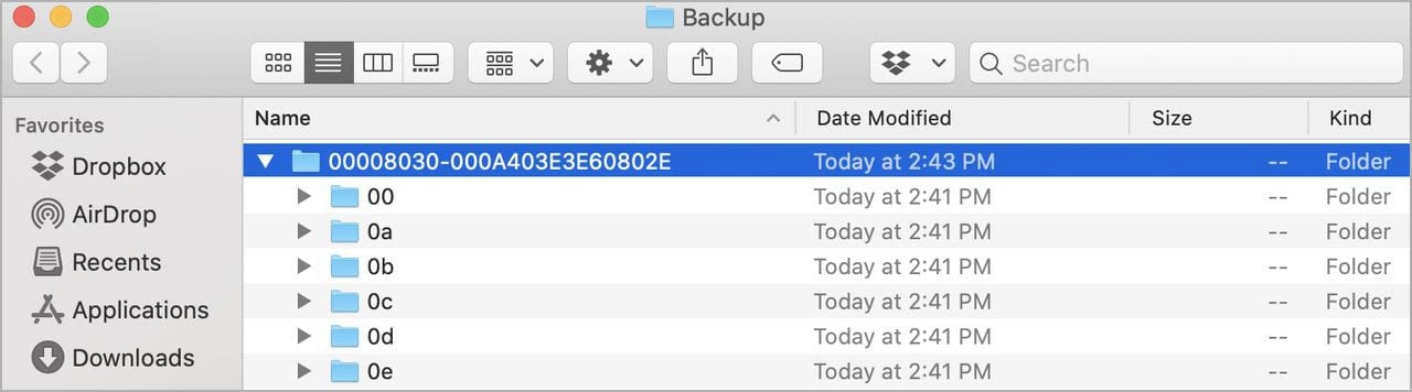 Each backup has a cryptic name and a number of subfolders