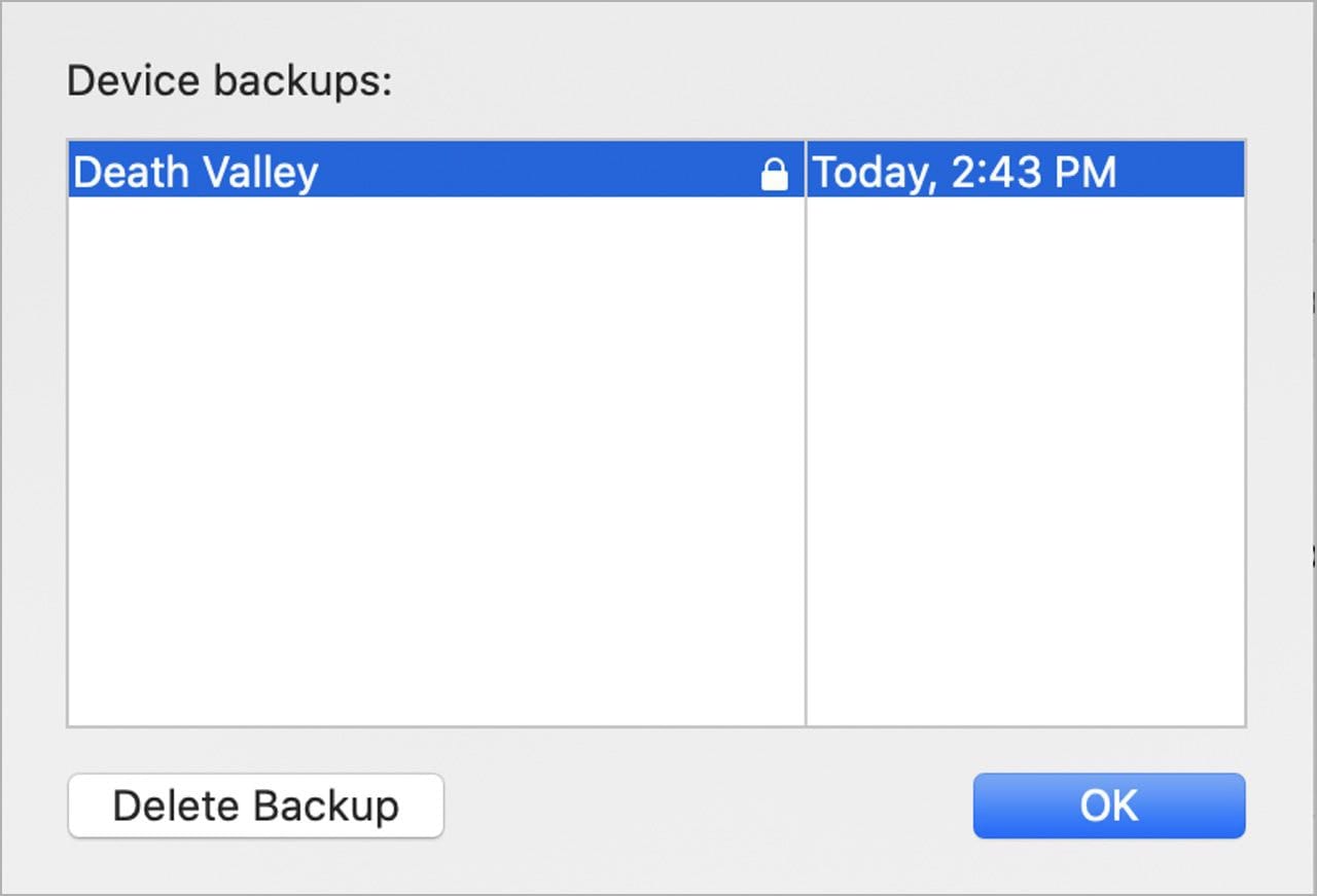 A list of backups appears. To delete one, click on it to select the backup, then click the Delete Backup button.