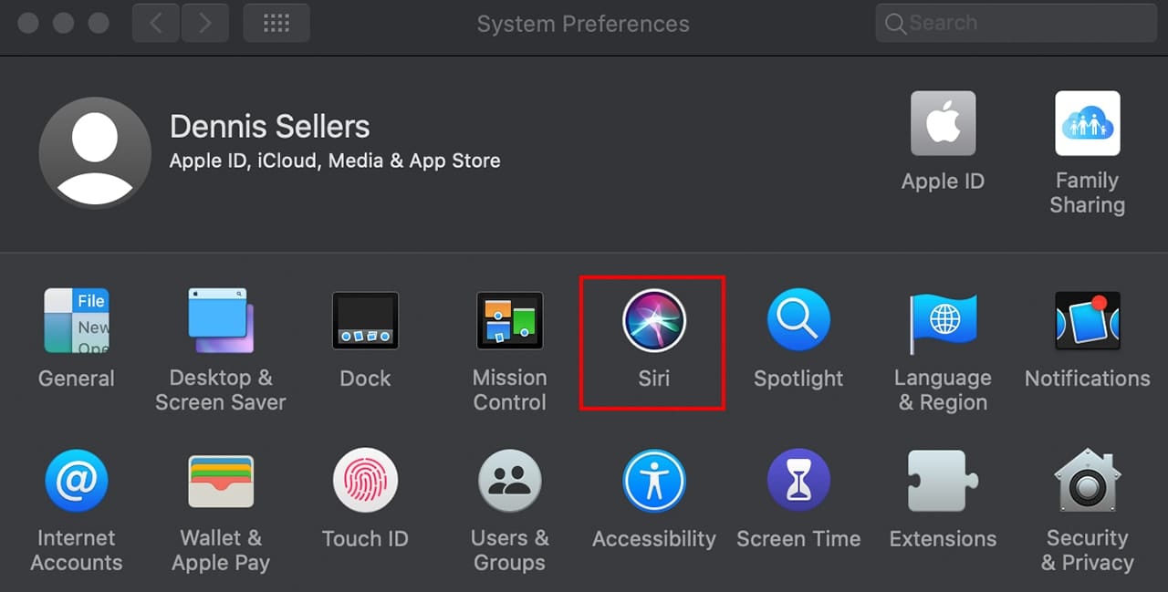 Mac system preferences showing siri icon highlighted
