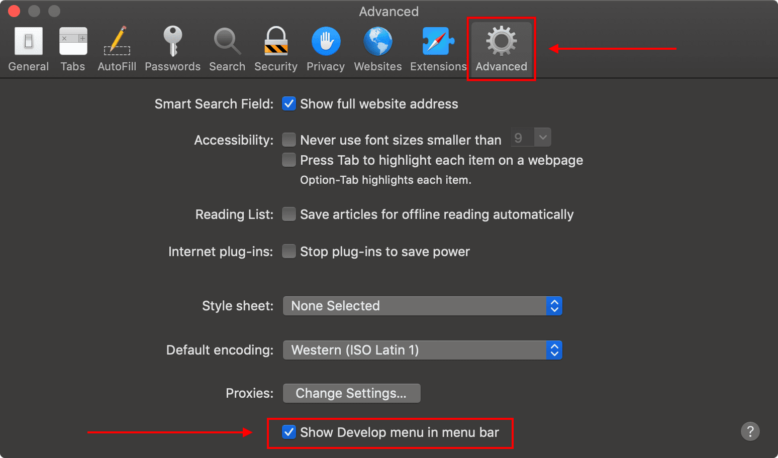 Safari Advanced perferences with "Show Develop menu in menu bar" highlighted