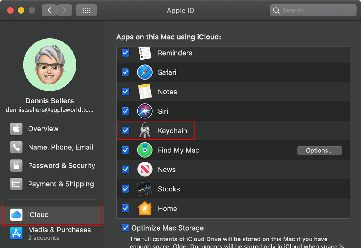 Screen shot of iCloud preferences on a mac with icloud and kechain highlighed with a red box