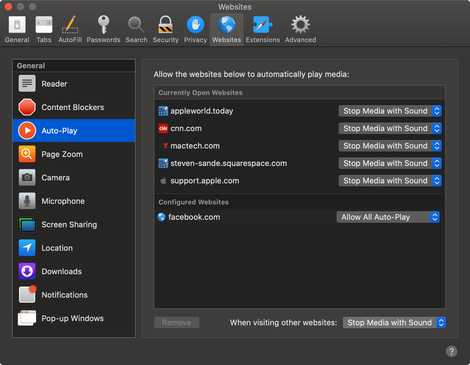 safari settings autoplay